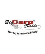 Big Carp